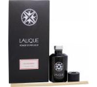Lalique Diffuser 250ml - Gingembre Yunnan