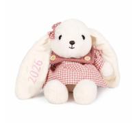 Lam Hub Fong Personalised 25cm Bunny Soft Toy Custom Embroidered Name Plush Rabbit Teddy Cotton Thread Stuffed Animal for Baby Christening Nursery Gift