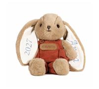 Lam Hub Fong Personalised 25cm Bunny Soft Toy Custom Embroidered Name Plush Rabbit Teddy Cotton Thread Stuffed Animal for Baby Christening Nursery Gift