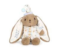 Lam Hub Fong Personalised 25cm Bunny Soft Toy Custom Embroidered Name Plush Rabbit Teddy Cotton Thread Stuffed Animal for Baby Christening Nursery Gift