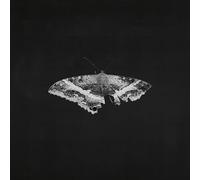 Lamar,Kendrick - To Pimp a Butterfly (10th Ann) (Ltd. Edt.) [VINYL]