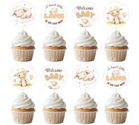 Lamb Baby Shower Decorations 24pcs A Sweet Little Lamb Is On The Way Cupcake Toppers Little Lamb Cake Decors Sheep Gender Reveal Decor Farm Animal Welcome Baby Gender Neutral Birthday Party Supplies