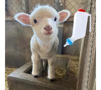 Lamb Feeding Bottle, 800ml Small Animal Lamb Milk Bottle, ABS Puppy Feeding Milk Bottles, Goat Milk Feeder Hangable Lamb Bottle, Hangable Goat Bottle, Lamb Nursing Bottles