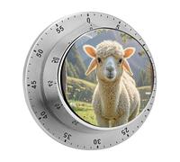 Lamb Timer Stainless Digital Visual Timer Exquisite Mechanical Countdown Time Management Tools with Silent Operation Timer for Kitchen Office Classroom