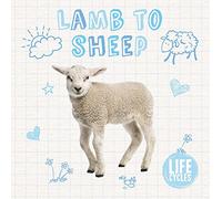 Lamb to sheep (Life Cycles)