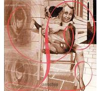 Lambchop - I Hope You Re Sitting Down