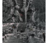 LAMBCHOP - PUNCHING THE CLOWN [VINYL]