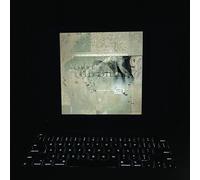 LAMBCHOP - THE BIBLE [VINYL]