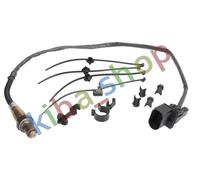 LAMBDA PROBE NUMBER OF WIRES 5 750MM FITS AUDI A3 A4 B6 A4 B7 A8 D2 ALLROAD C5