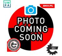 ESEN SKV 09SKV200 Lambda sensor