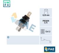 FAE 75120 Lambda sensor