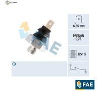 FAE 75120 Lambda sensor