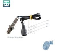 BLUE PRINT ADBP700025 Lambda sensor