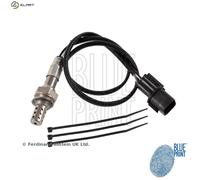 BLUE PRINT ADC47040 Lambda sensor