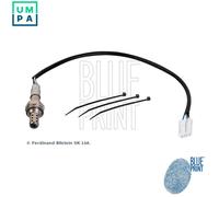 BLUE PRINT ADC47043 Lambda sensor