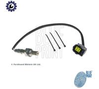 BLUE PRINT ADC47065 Lambda sensor
