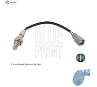 Blue Print ADD67001 Lambda Sensor, pack of one