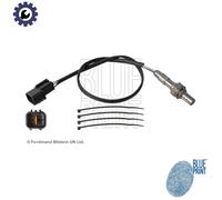 Blue Print Lambda Sensor ADG070103 - Heated Pre‑Cat for Hyundai & Kia