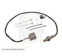 BLUE PRINT ADM57056 Lambda sensor