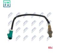 NTY ESL-FR-008 Lambda sensor