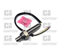Lambda Sensor XLOS2003 CI Oxygen Genuine Top Quality Guaranteed New