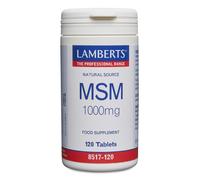 Lamberts - 120 Tablets MSM 1000mg