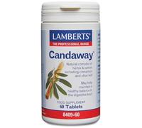 Lamberts Candaway Tablets - with Cinnamon, Olive Leaf & Fennel - Digestive Support & Gut Health - 60 Tablets