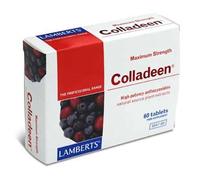 Lamberts Maximum Strength Colladeen (Antocyanidins 160mg) 60 Tablets