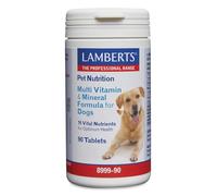 Lamberts Multivitamin for Dogs - With Zinc, Selenium & Vitamins A, C & E - Beef-Flavoured Daily Tablets - 90 Tablets of Dogs