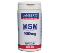 LAMBERTS Natural Source MSM - 120 x 1000mg Tablets