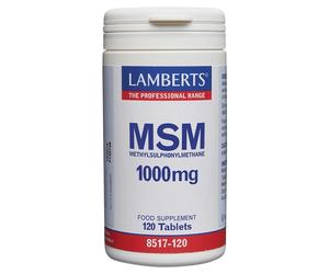 LAMBERTS Natural Source MSM - 120 x 1000mg Tablets