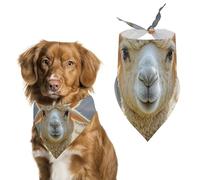 LambPet Scarf Dog Bandana for Small Medium Large Exquisite Unique Cat Dogs Kerchief Premium Fabric Cute Triangle Cat Dogs Bibs Scarf