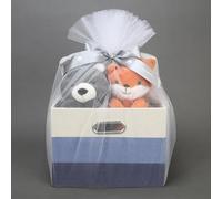 Lambs & Ivy Blue 5-Piece Baby Gift Basket for Baby Shower/Newborn Welcome Home