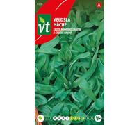 Lamb's Lettuce Seeds per Gram - Large Leaves, Rich in Minerals and Vitamins - 4 g - Seeds per Gram: 500