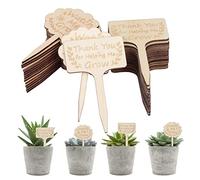 LAMEK 30pcs Bamboo Plant Labels T-Type Garden Plants Marker Wooden Sign Tags for Potted Seed Herbs Flowers Vegetables Nurseries Cultivation (3.9x2.4inch)