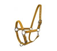 LAMI-CELL LC halter golden honey thoroughbred