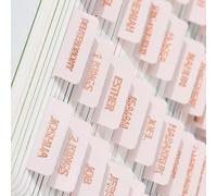 Laminated Bible Tabs (Gold Foil Stamped Lettering), Bible Journaling Supplies, Bible Book Tabs, Christian Gift, 66 Bible Tabs Old and New Testament, Including 24 Blank Tabs (Pink)