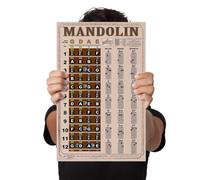 Laminated Mandolin Americana Style Easy Chord & Fretboard Note Chart Instructional Poster for Beginners Chords & Notes A New Song Music 11"x17"
