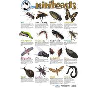 Laminated Mini Beasts Mini Poster Wall Art Print, Room Decor, Bedroom Home Office Decoration, Gift Idea, Novelty Wall Decor, Compact Art Print