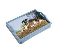 Laminated Wooden Lap Tray with Built in Cushion - 100 x 400 x 300mm - Dog Design Loops Multi One Size