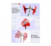 Laminating film DIN A3 125Micro