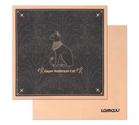 Lammcou Glasses Cleaning Cloth, Microfibre Lens Glasses Cloth for Spectacles Optician Quality Lint-Free Eyeglass Cleaner Wipes for Camera Display Phones Tablet Screen 25 * 25cm 2pcs Black