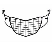 Lamp Guard Black For BMW F 650 GS/G 650 GS (2004-2007)