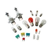Lamp Kit Replacement Bulbs 19 pcs, Halogen 2x H4 - 12V