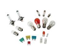Lamp Kit Replacement Bulbs 19 pcs, Halogen 2x H7 - 12V