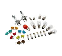 Lamp Kit Replacement Bulbs 30 pcs, Halogen 2xH4 - 24V