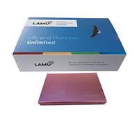LAMU Portable Digital Photo Organizer - Digital Picture Manager for Windows - Software to Easily Organize Your Photos and Videos - Digital Photo Storage - 2 Terabytes (Rose Gold)