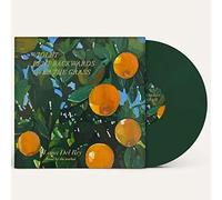 Lana Del Rey - Violet Bent Backwards Over The Grass [VINYL]