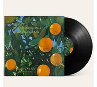 Lana Del Rey Violet Bent Backwards Over The Grass - Vinyl LP in Black Lana Del Rey Black