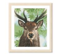 Lanarte Counted Cross Stitch Kit: Proud Red Deer, Cotton, NA, 40 x 49cm